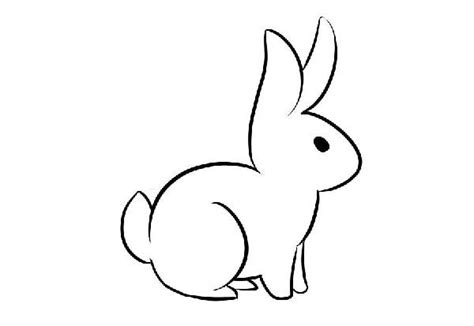 Cute Rabbit Drawing ~ easy drawing cool