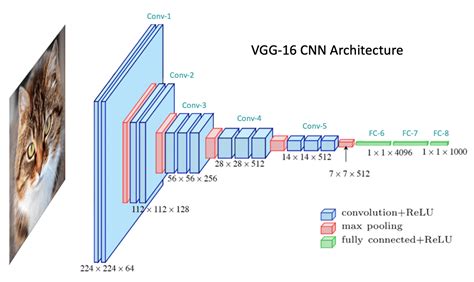 CNN Architecture Diagram