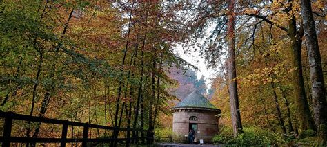 Perthshire is the Perfect Place to Enjoy Autumn in Scotland - Here's How!