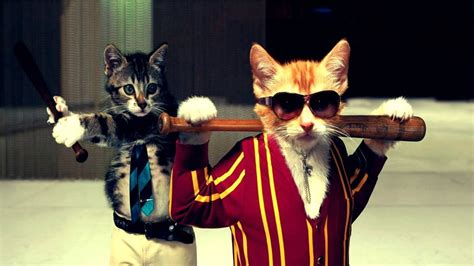 Gangster Cats. : pics