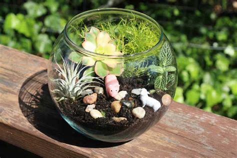 Earth Day Craft for Kids: Make a Mini Terrarium | Marin Mommies