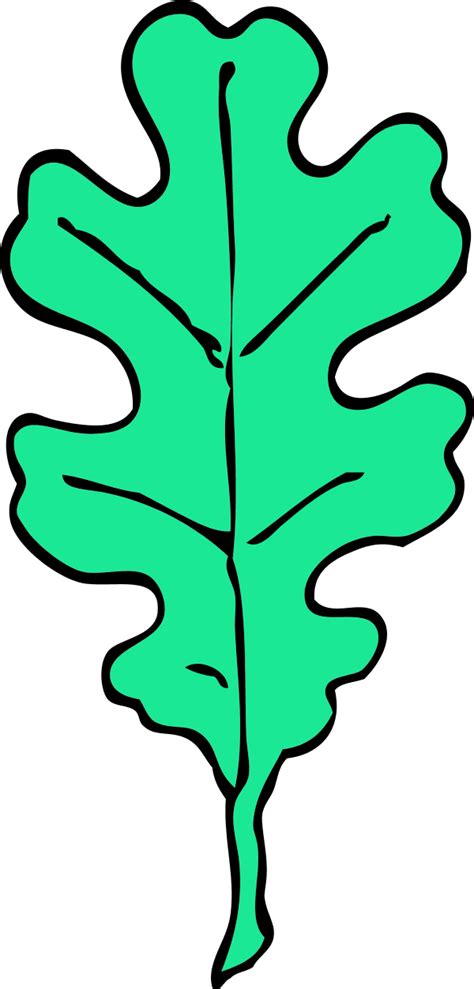 Free Oak Leaf Vector, Download Free Oak Leaf Vector png images, Free ClipArts on Clipart Library