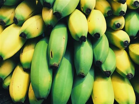 15 Different Types of Bananas – Complete Guide 2024 - Northern Nester