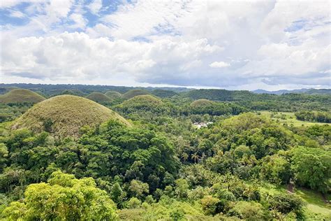 Diving in Bohol: What You Need to Know - Claire's Footsteps