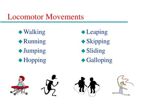 10 Examples Of Locomotor Movements