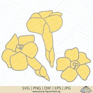 Puakenikeni Flower SVG Flower SVG Puakenikeni Cut File Puakenikeni Clip Art Flower Cut File ...