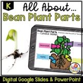 Parts of a Plant Kindergarten Science Vocabulary & Reading Comprehension DIGITAL - The Homeroom ...