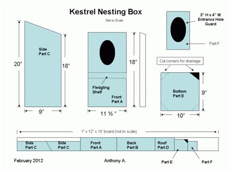 How to Build a Kestrel Nesting Box - FeltMagnet