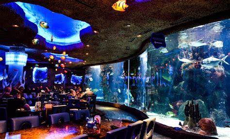 Aquarium du centre-ville de Nashville