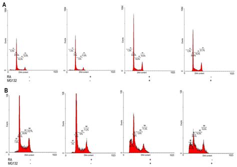 Effects of the combined RA/MG132 treatment on cell cycle (A) Flow ...