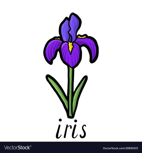 Flower of iris vector image on VectorStock in 2023 | Iris drawing ...