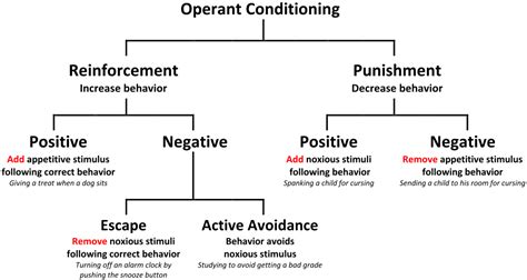 What Is 'Negative Reinforcement'? Definition and Real-World Examples ...