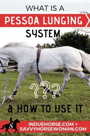 What is a Pessoa Lunging System and How to Use It - Savvy Horsewoman ...