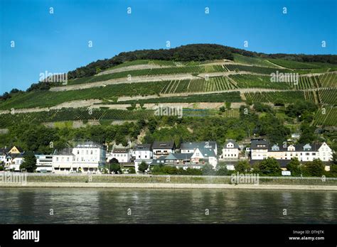 Rhine Valley village and vineyards, Germany wine-country Stock Photo ...