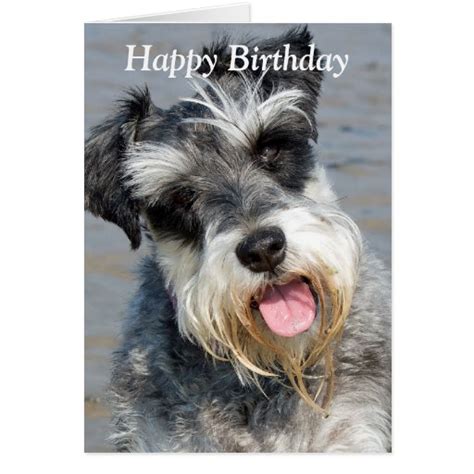 Schnauzer miniature dog photo birthday card | Zazzle