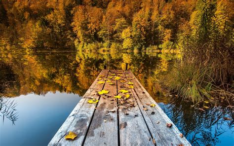 Free photo: Autumn Lake - Scenic, Pink, Pond - Free Download - Jooinn