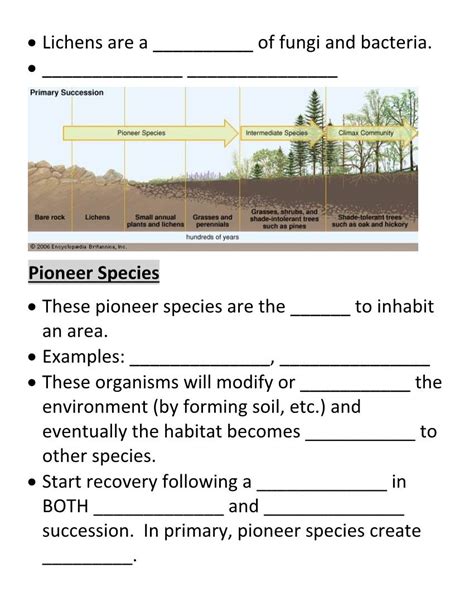 Lichens Are a ___Of Fungi and Bacteria. • Pioneer Species • These Pioneer Species - DocsLib