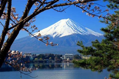 Tickets und Touren - Mt. Fuji 5. Station, Tokio - Viator