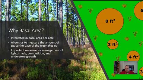 Standing Tree Measurements- 3 (Basal Area) - YouTube