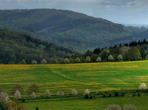 Thuringian Forest | The Thuringian Forest running northwest … | Flickr