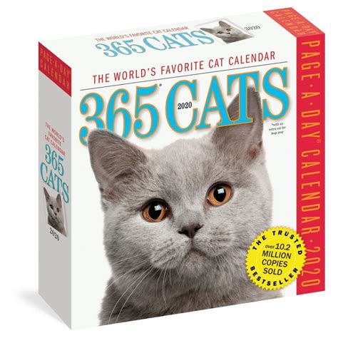 Workman Publishing, 2020 365 Cats Desk Calendar - Walmart.com