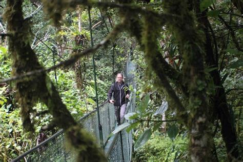 Monteverde Hanging Bridges: Unveil Costa Rica's Treetop Gems