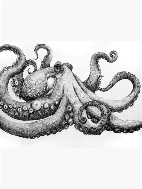 "Octopus Drawing" Art Print for Sale by sglauvitz | Octopus drawing ...