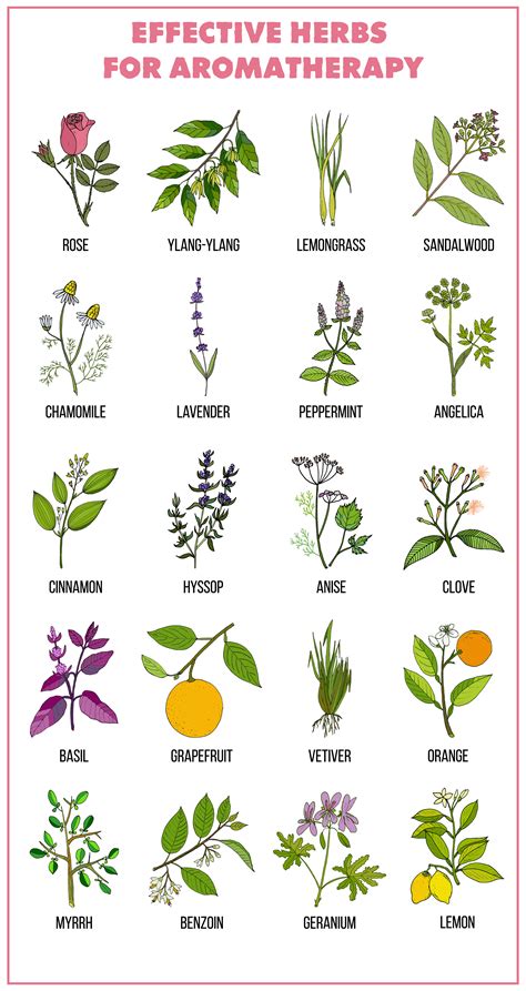 How To Use Essential Oils For Beginners: An Essential Oils Guide