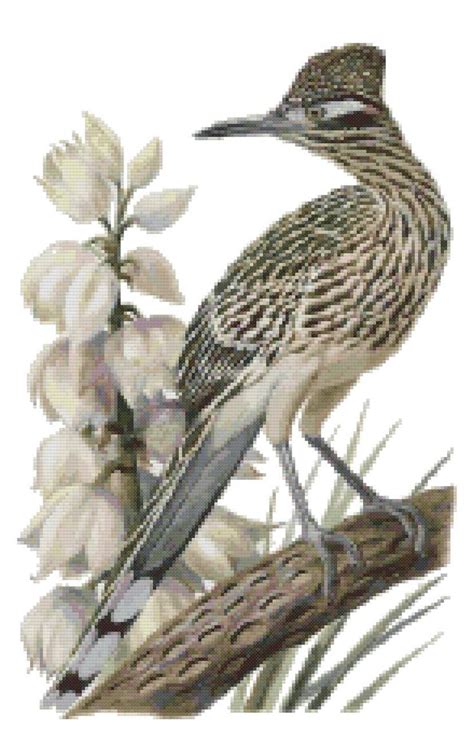 New Mexico State Bird and Flower Roadrunner and Yucca Flower Counted ...