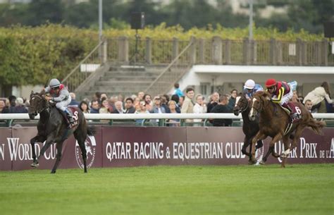 Undefeated Treve Named Cartier Horse of the Year - Paulick Report | Shining Light on the Horse ...