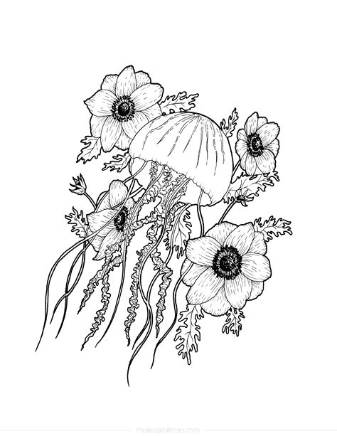 “Jellyfish” Coloring Page