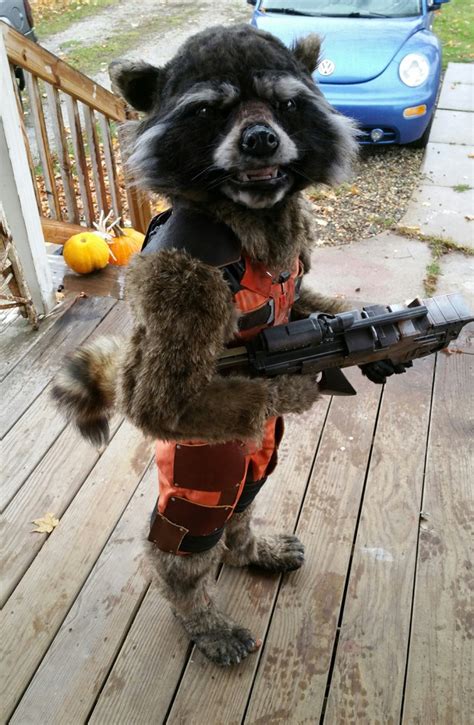 Awesome DIY Kid's Rocket Raccoon Costume - MightyMega