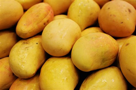 Fresh Yellow Mangoes · Free Stock Photo