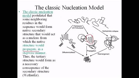 Classic nucleation model of protein folding - YouTube