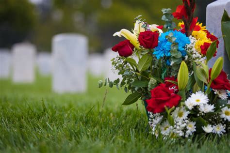 Us Military Cemetery Stock Photos, Pictures & Royalty-Free Images - iStock