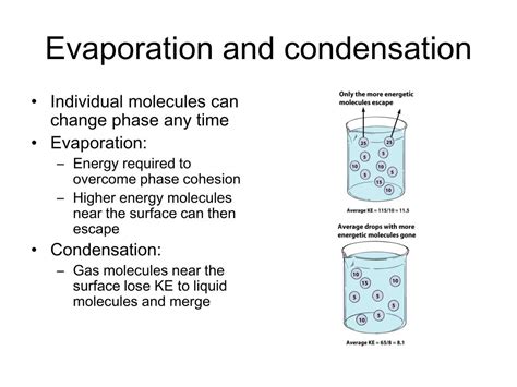 PPT - Evaporation and condensation PowerPoint Presentation, free ...