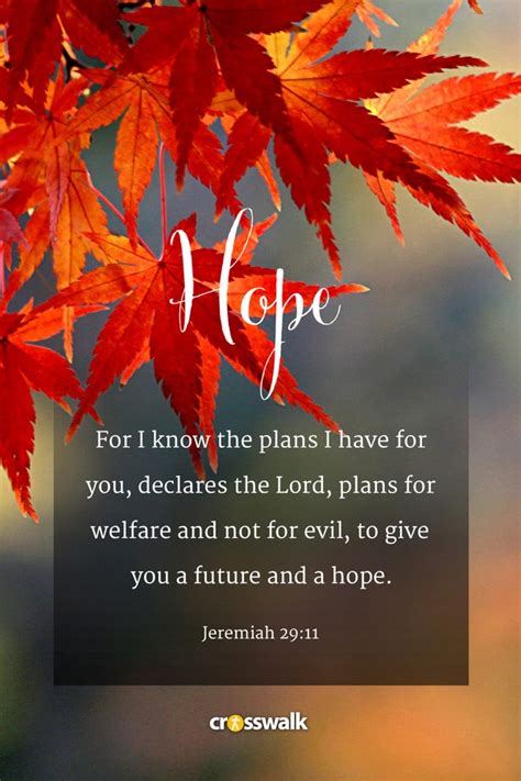 15 Beautiful Fall Bible Verses for the Autumn Season - Bible Study