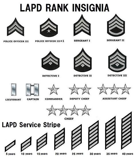 Rank Structure - LAPD Online (2024)