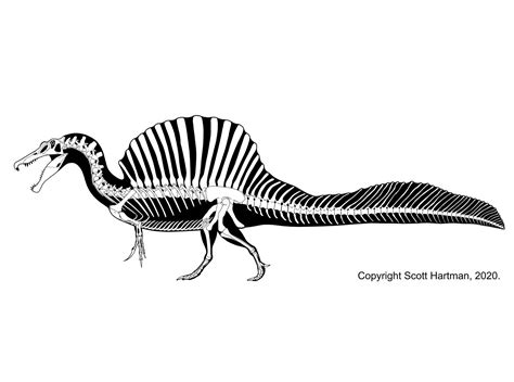 El T.Rex Loco: Spinosaurus: the Giant of North Africa