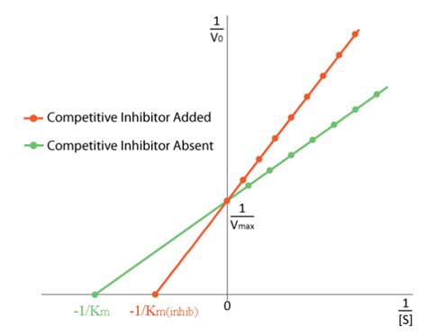 4.10: Enzyme Inhibition - Biology LibreTexts