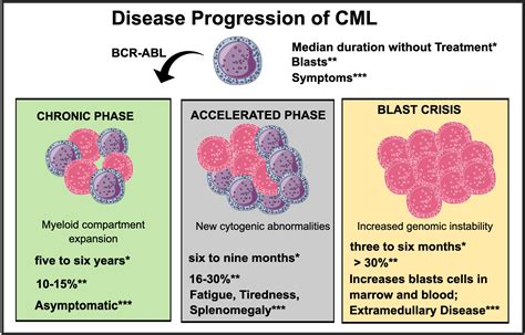 Cureus | The Progression of Chronic Myeloid Leukemia to Myeloid Sarcoma: A Systematic Review