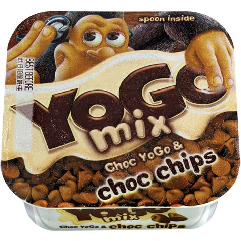 Yogo Chocolate With Choc Chip Custard Dessert 150g | Woolworths