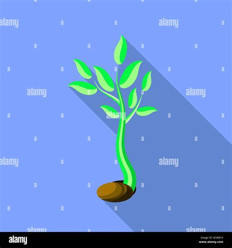 Plant Growth. Little Green Sprout Seedling Germinating from Seed Stock Vector Image & Art - Alamy