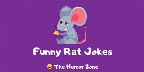 30+ Funny Rat Jokes And Puns! | The Humor Zone