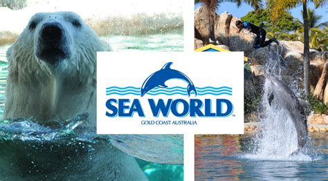 My day at Sea World Australia #xlinqld ⋆ Natatree