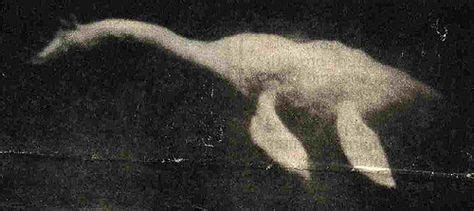 Full length underwater snap of Nessie. Real? (With images) | Loch ness monster, Mythological ...