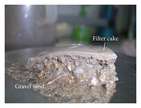 The 5 cm thickness filter cake formed in the slurry tests. | Download Scientific Diagram