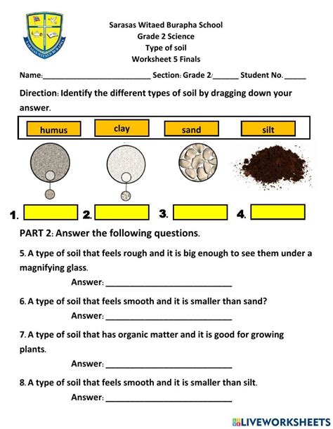 Free types of soil worksheet, Download Free types of soil worksheet png ...