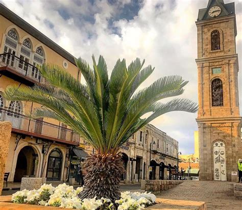 Jaffa Clock Tower Tel Aviv, Israel | Art tours, Ferry building san ...