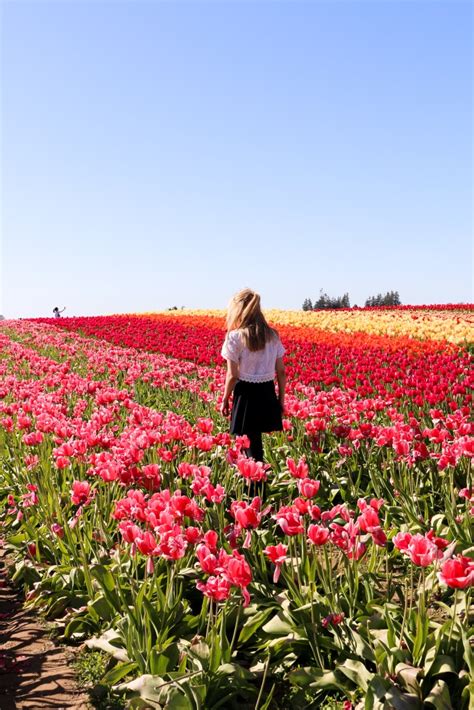 Tulip Festival - Fashion To Follow